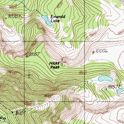 Topographic Map of Hicks Peak, MT
