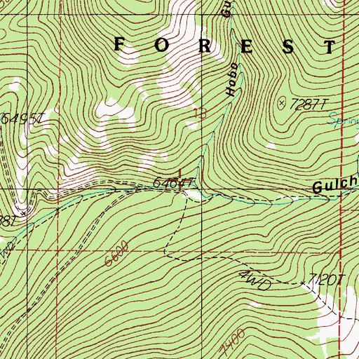 Topographic Map of Hobo Gulch, MT