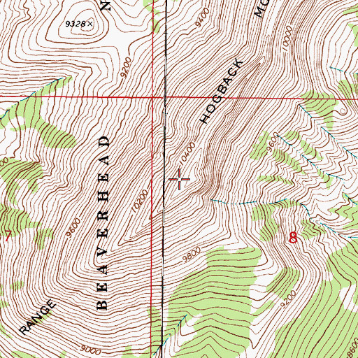 Topographic Map of Hogback Mountain, MT