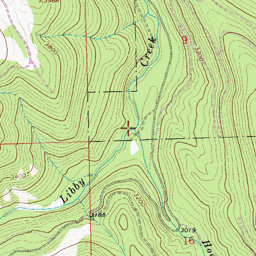 Topographic Map of Hoodoo Creek, MT
