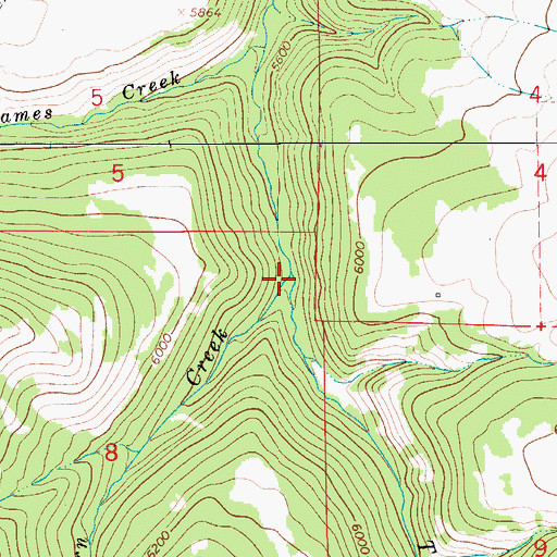 Topographic Map of Horn Creek, MT
