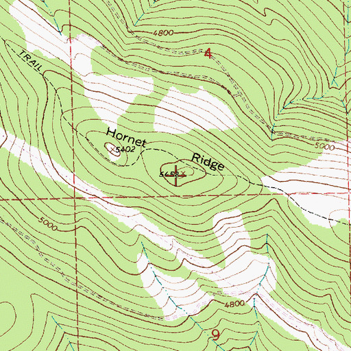 Topographic Map of Hornet Ridge, MT