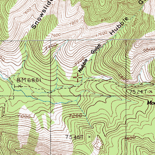 Topographic Map of Hubble Gulch, MT