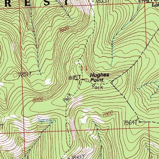 Topographic Map of Hughes Point, MT