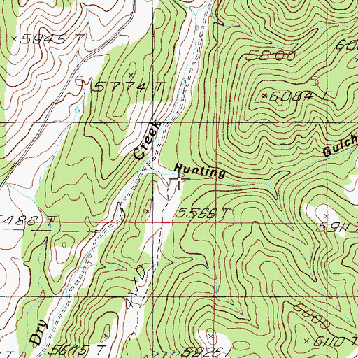 Topographic Map of Hunting Gulch, MT