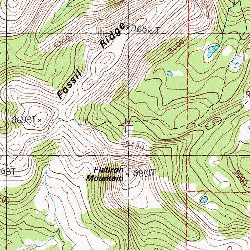 Topographic Map of Hyde Creek Trail, MT