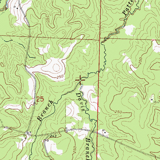 Topographic Map of Sylvester Branch, AR