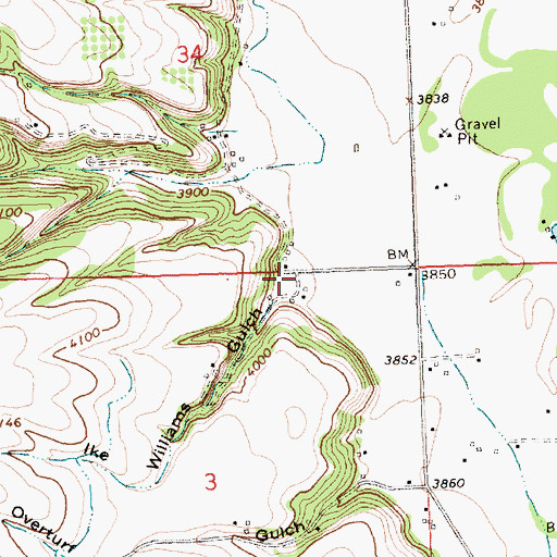 Topographic Map of Ike Williams Gulch, MT
