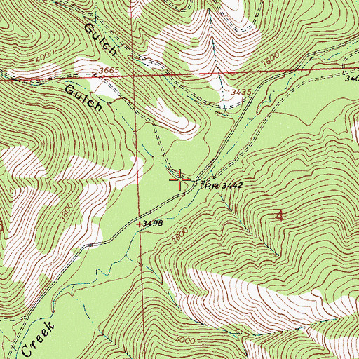 Topographic Map of Indian Gulch, MT
