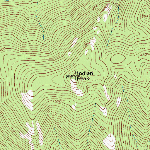 Topographic Map of Indian Peak, MT