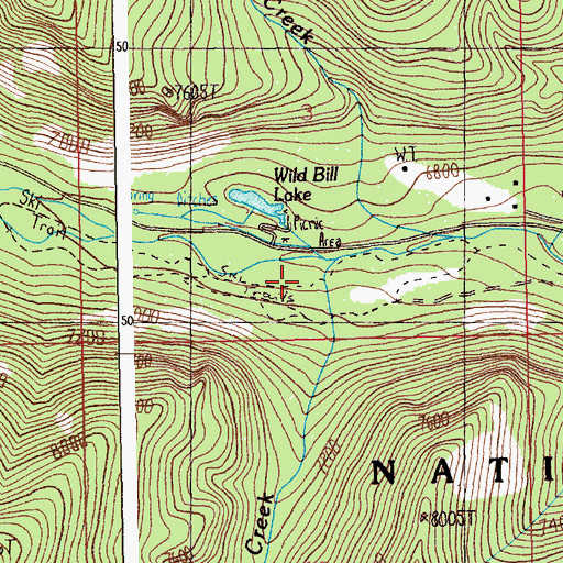 Topographic Map of Ingles Creek, MT