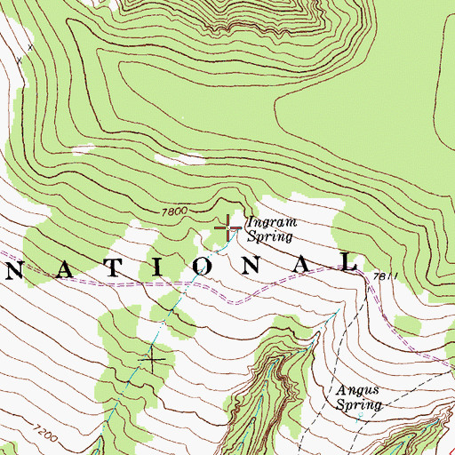 Topographic Map of Ingram Spring, MT