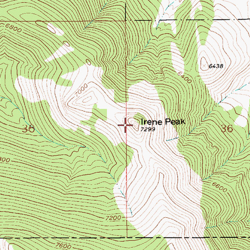 Topographic Map of Irene Peak, MT