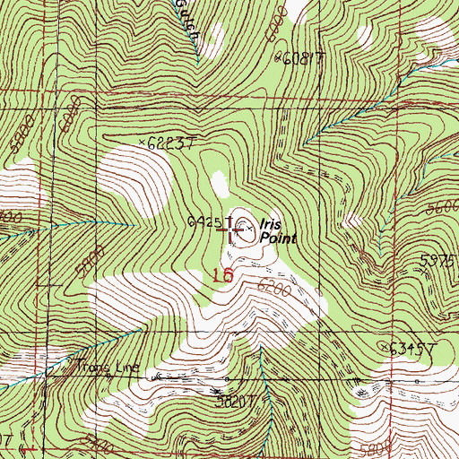 Topographic Map of Iris Point, MT