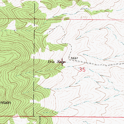 Topographic Map of Iris Seep, MT