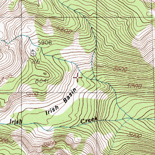 Topographic Map of Irish Basin, MT