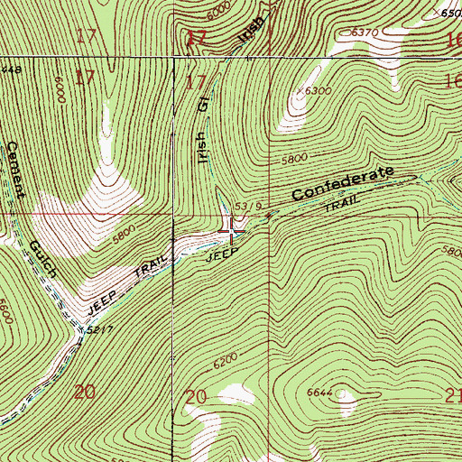 Topographic Map of Irish Gulch, MT