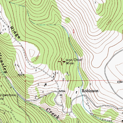 Topographic Map of Iron Chief Mine, MT