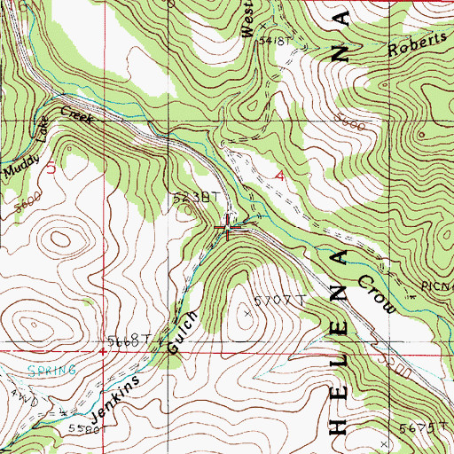 Topographic Map of Jenkins Gulch, MT
