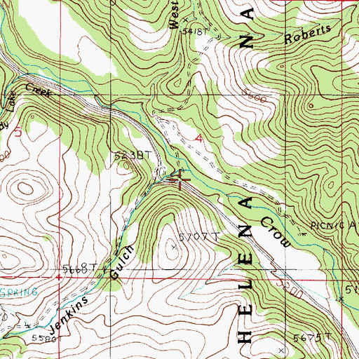 Topographic Map of Jenkins Gulch Creek, MT