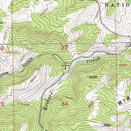 Topographic Map of Jims Gulch, MT