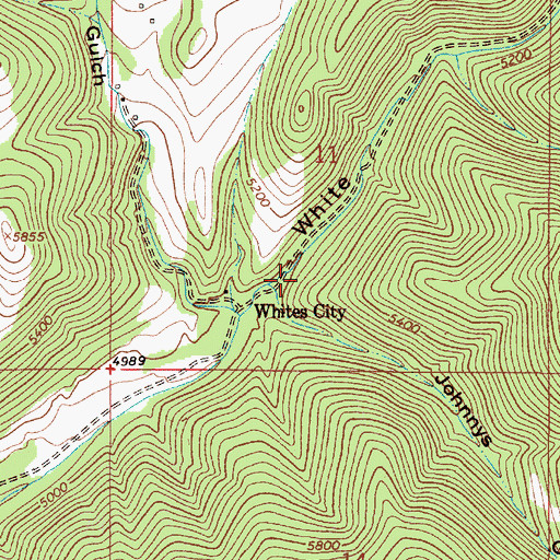 Topographic Map of Johnnies Gulch, MT