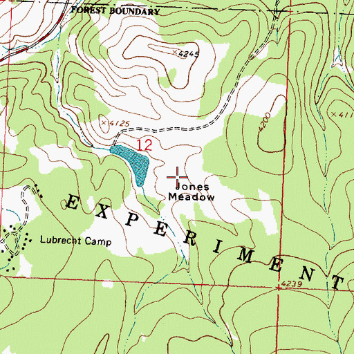 Topographic Map of Jones Meadow, MT