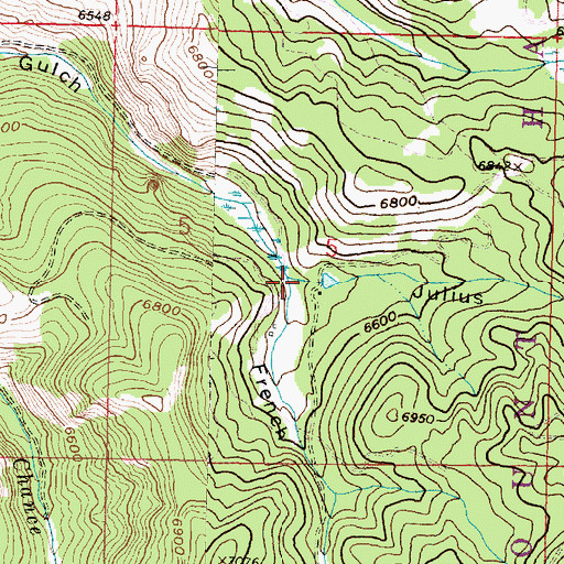Topographic Map of Julius Gulch, MT