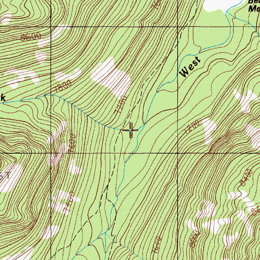Topographic Map of Jungle Creek, MT