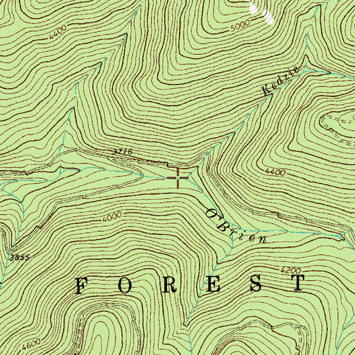 Topographic Map of Kedzie Creek, MT
