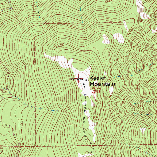 Topographic Map of Keeler Mountain, MT