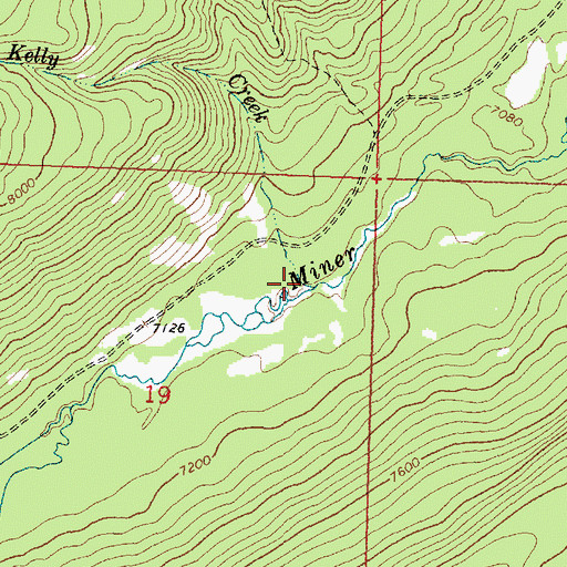 Topographic Map of Kelly Creek, MT