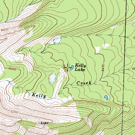 Topographic Map of Kelly Lake, MT