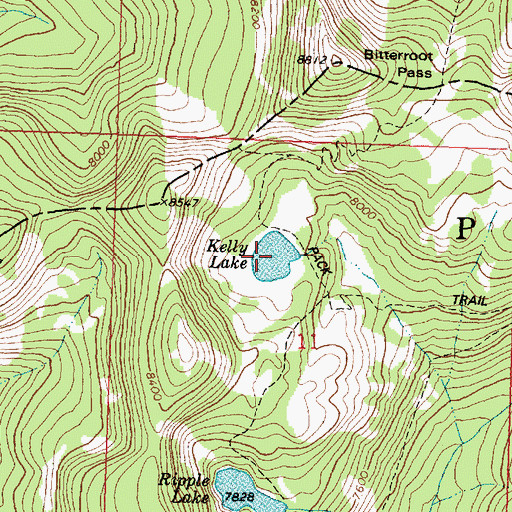 Topographic Map of Kelly Lake, MT