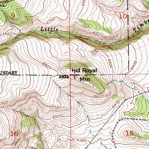 Topographic Map of Kid Royal Mountain, MT