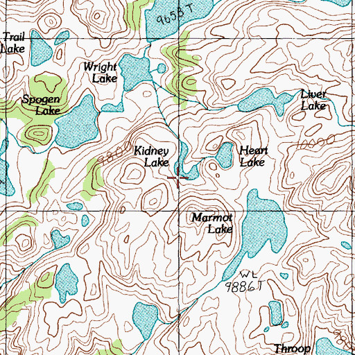 Topographic Map of Kidney Lake, MT