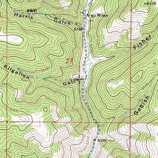 Topographic Map of Kilgallon Gulch, MT