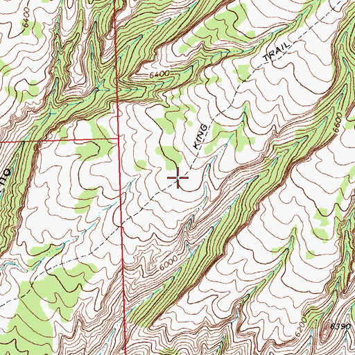 Topographic Map of King Trail, MT