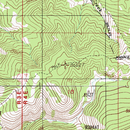 Topographic Map of Kirkwood Trail, MT