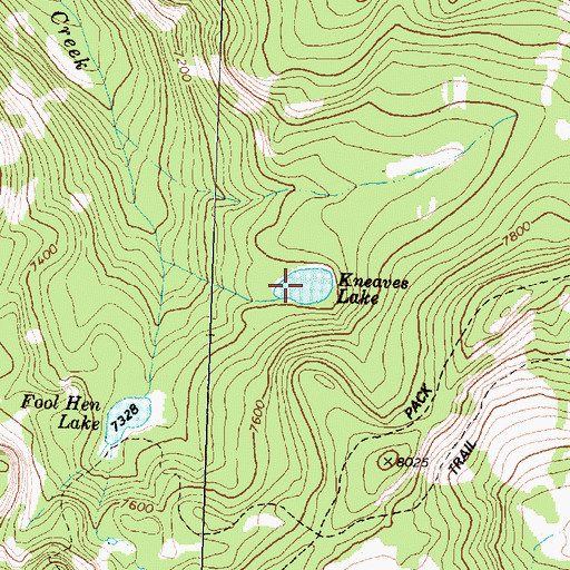 Topographic Map of Kneaves Lake, MT