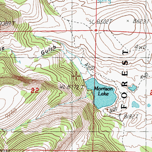 Topographic Map of Lake Gulch, MT