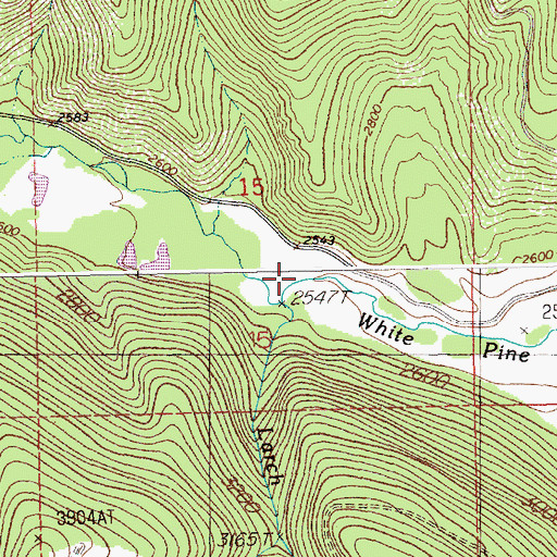 Topographic Map of Larch Creek, MT