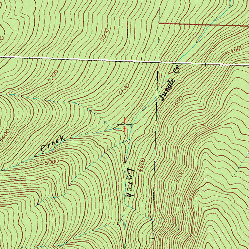 Topographic Map of Larch Creek, MT