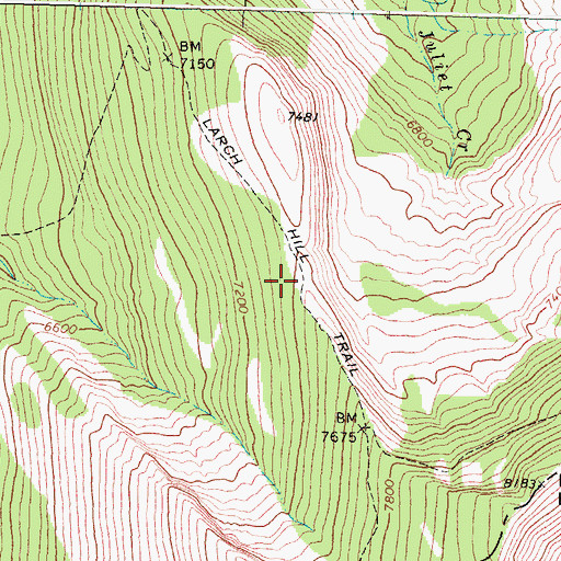Topographic Map of Larch Hill Trail, MT