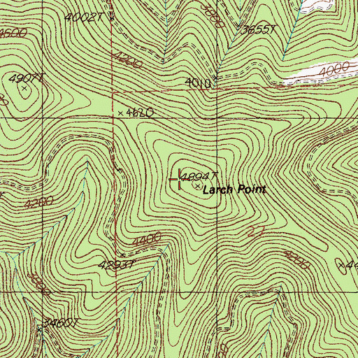Topographic Map of Larch Point, MT