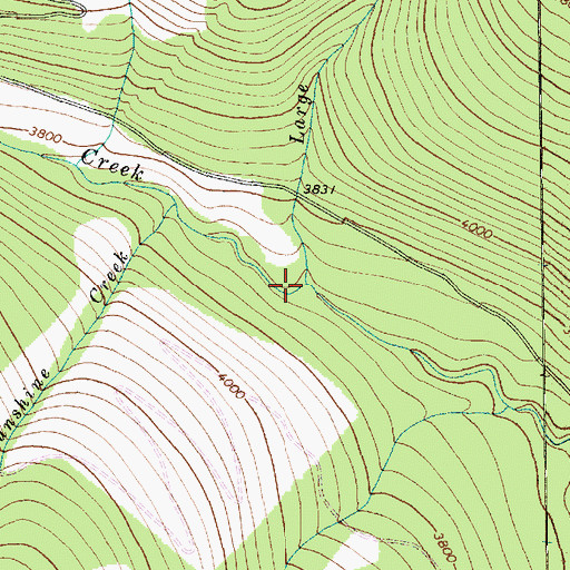 Topographic Map of Large Creek, MT