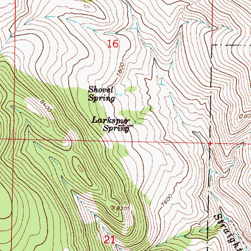 Topographic Map of Larkspur Spring, MT