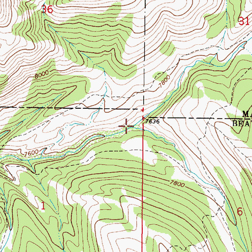 Topographic Map of Lawrence Creek, MT