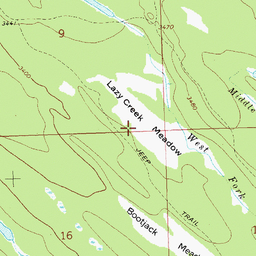 Topographic Map of Lazy Creek Meadow, MT