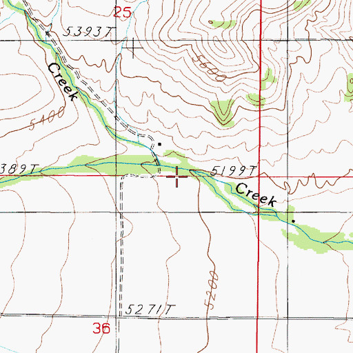 Topographic Map of Leonard Creek, MT